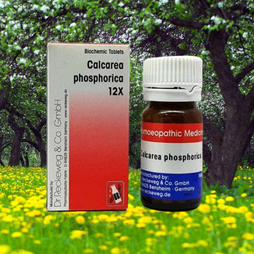 Calcarea Phosphorica 12X Tablet | Dr. Reckeweg, Germany