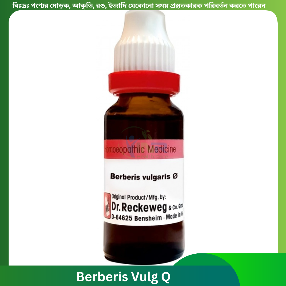 Berberis vul Q 20 ml | Dr. Reckeweg, Germany
